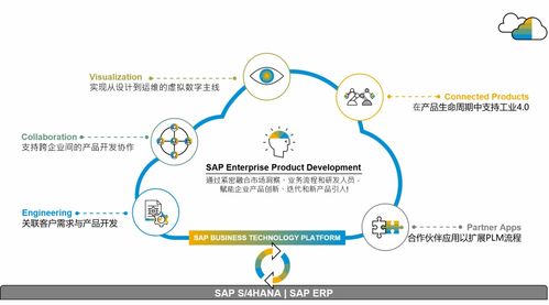 SAP供應鏈云三套產品落地中國，官方培訓課程助您操作無憂，管理高效